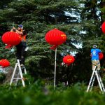 DIY Garden Ornament Ideas: 7 Proven Ways to Avoid Costly Mistakes