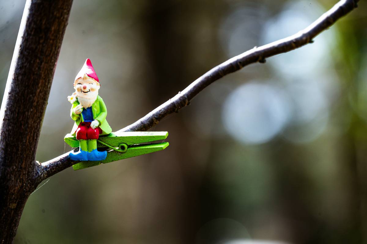 Ornaments for the Garden: 7 Proven Tips to Avoid Costly Mistakes